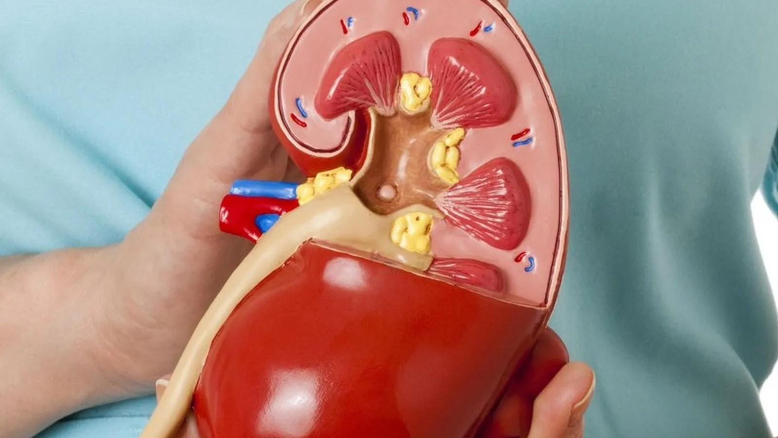 ¿Qué especialista trata la insuficiencia renal aguda?