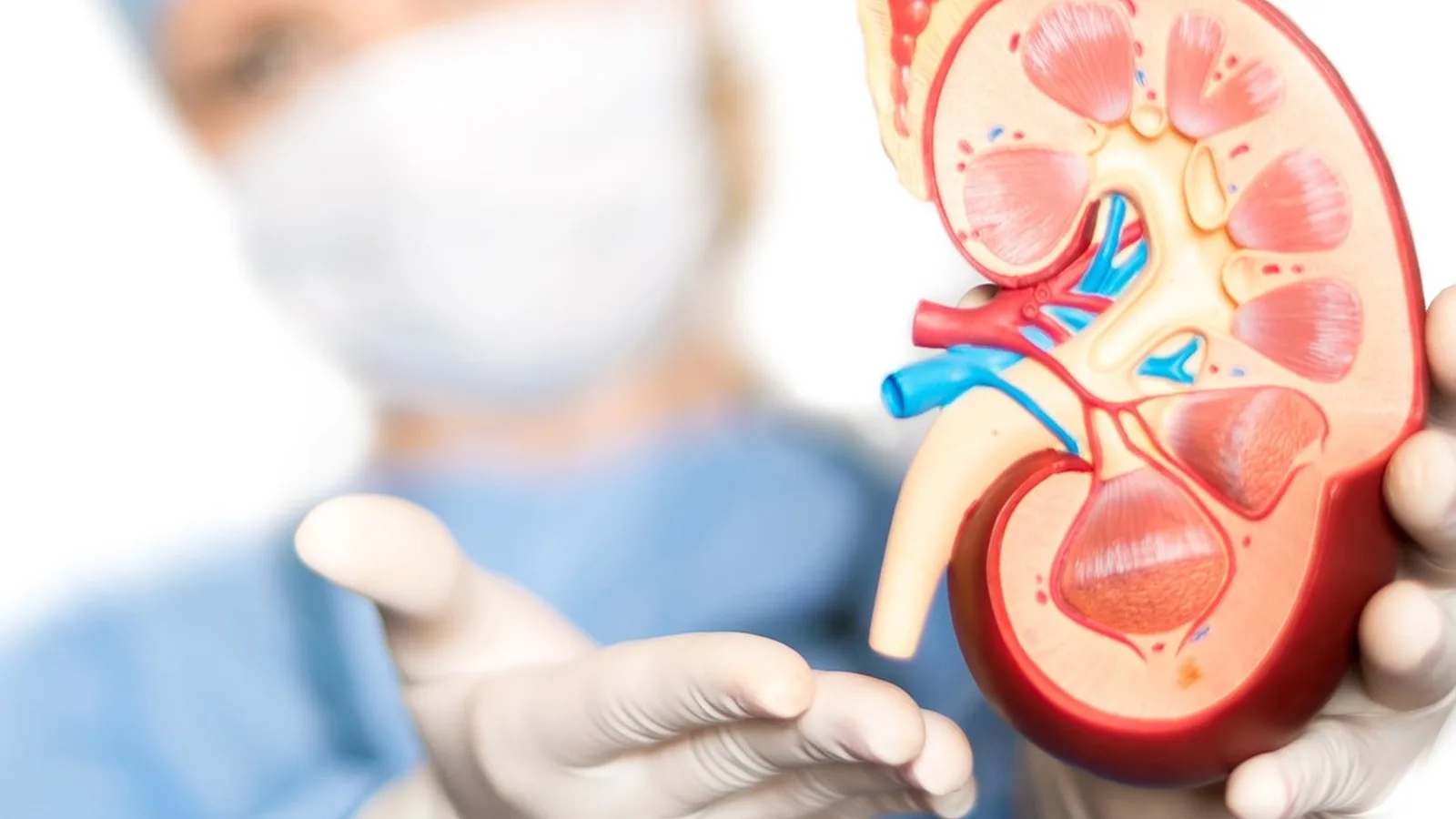 ¿Qué especialista trata la insuficiencia renal crónica?